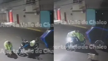 Familia busca a su perro tras denuncia contra mototaxista en Valle de Chalco.