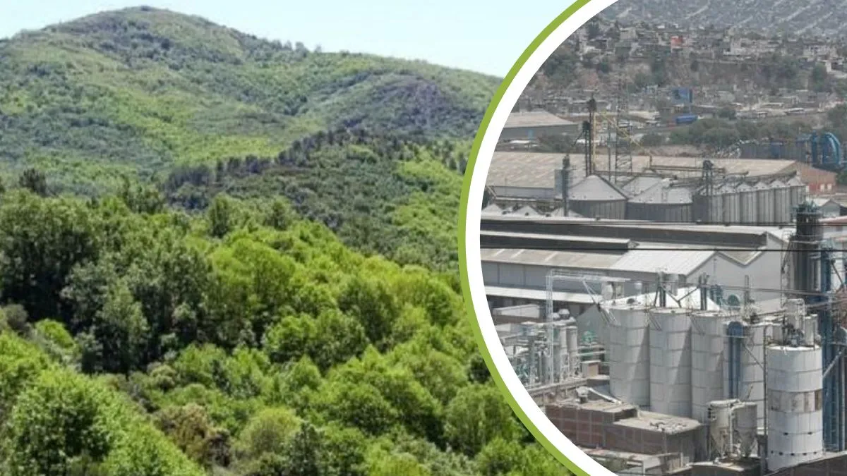 Secretaría de Medio Ambiente y Consejería Jurídica elaboran normativas para industrias