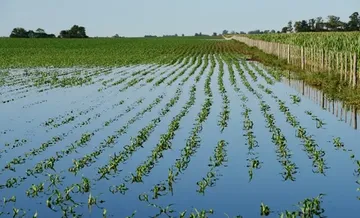 Seguros paramétricos ganan terreno en México ante la certeza estadística de desastres naturales