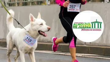 Carrera Pet Friendly de Almoloya de Juárez: Cuida de tu mascota siguiendo estos consejos