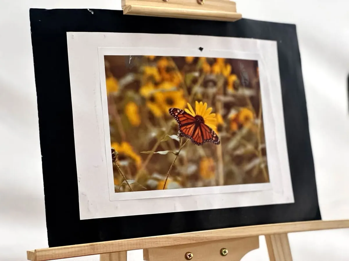 Festival de la mariposa monarca en Atlautla busca preservar su santuario