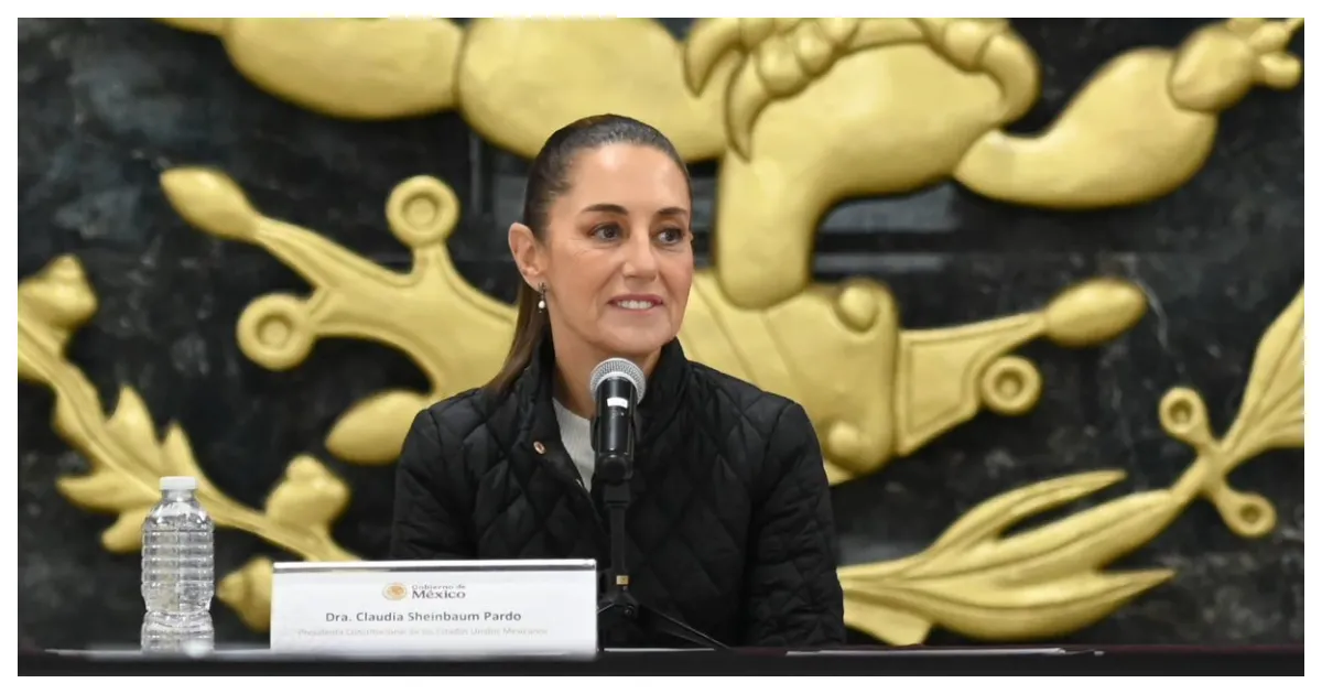 "Los senadores panistas plantearon que iban a hacer frente común con la presidenta", añadió Sheinbuam. Foto: Archivo