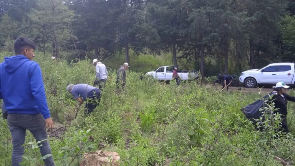Comité en defensa del parque El Ocotal impulsa campaña de reforestación en Chalco