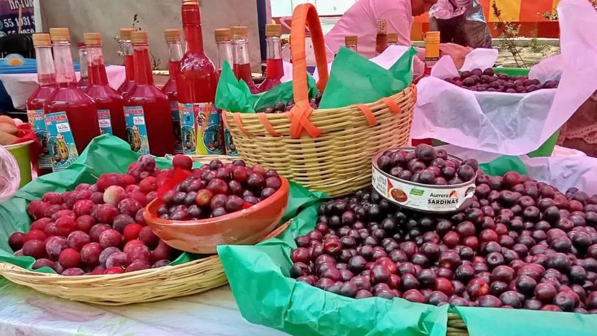 Concluye la Feria del capulín en Atlautla