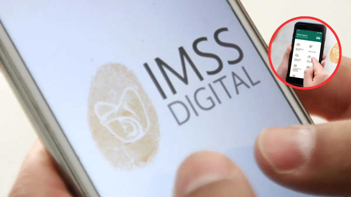 ¿Cómo tramitar la constancia de vigencia de derechos del IMSS desde tu celular?