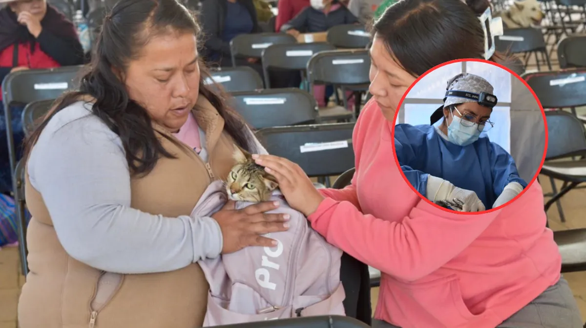 Realiza más de 200 esterilizaciones GRATIS en Villa de Allende