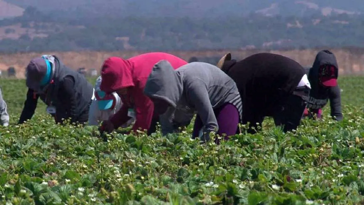 Edomex: Ejidatarios presentarán propuestas a Sheinbaum