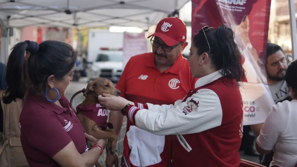 Cepanaf pide no regalar animales en Navidad