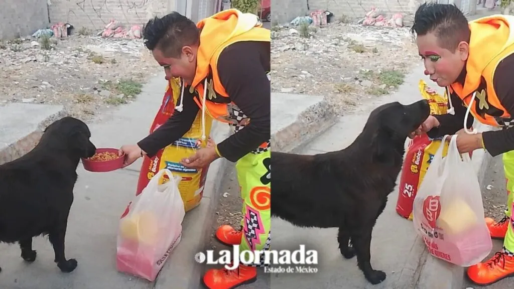 Chabelito, el payaso que ayuda a perros de la calle