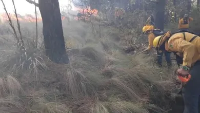 Vecinos reportaron el siniestro debido al intenso resplandor y al olor a madera quemada, que llegó a comunidades cercanas.