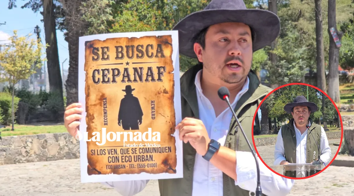 Emergencia en el Calvario de Toluca: Exigen declaratoria de Área Natural Protegida tras envenenamiento de cacomixtles