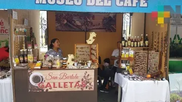 Mipymes cierran por falta de financiamiento y asesoría: COPARMEX