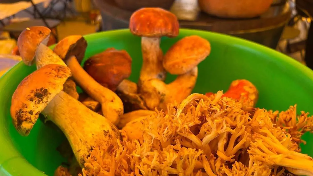 Sabores conquistan a visitantes en Festival del hongo de Amecameca