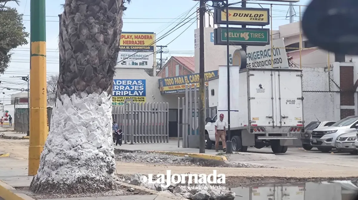 Baches e inundaciones impactan la movilidad en el Edomex