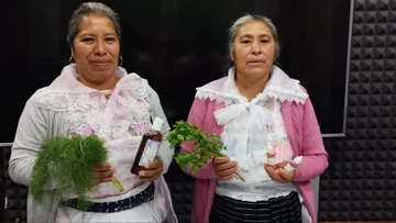 Asistencia Privada impulsa el trabajo de las jefas de familia a través de la herbolaria