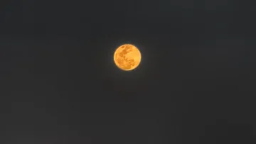 La Universidad Nacional Autónoma de México realizó una transmisión en vivo del eclipse a través de su página en Facebook.