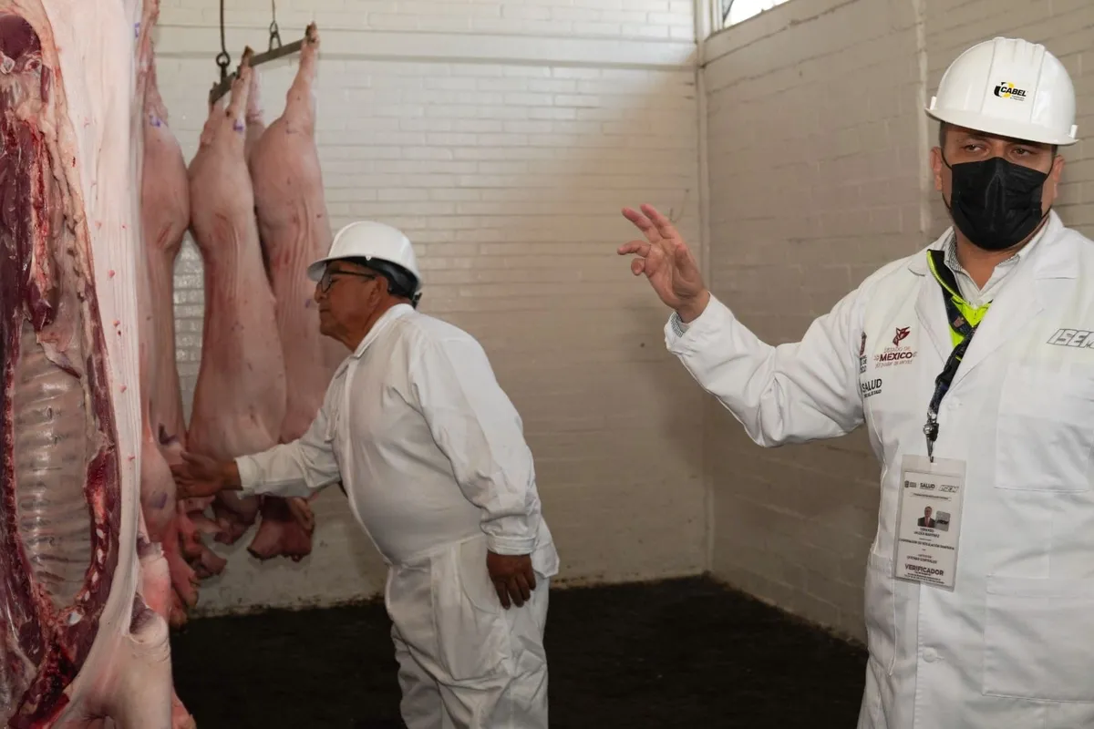 Intensifican supervisiones en rastros municipales del Edomex para asegurar carne en condiciones adecuadas