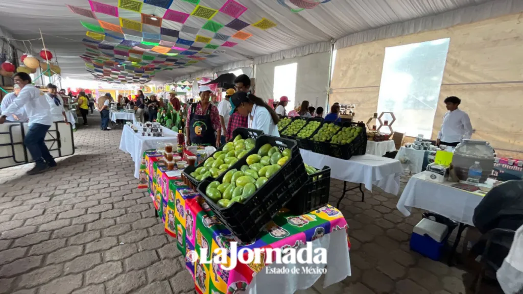 Feria de la Tuna pretende atraer a 25 mil visitantes