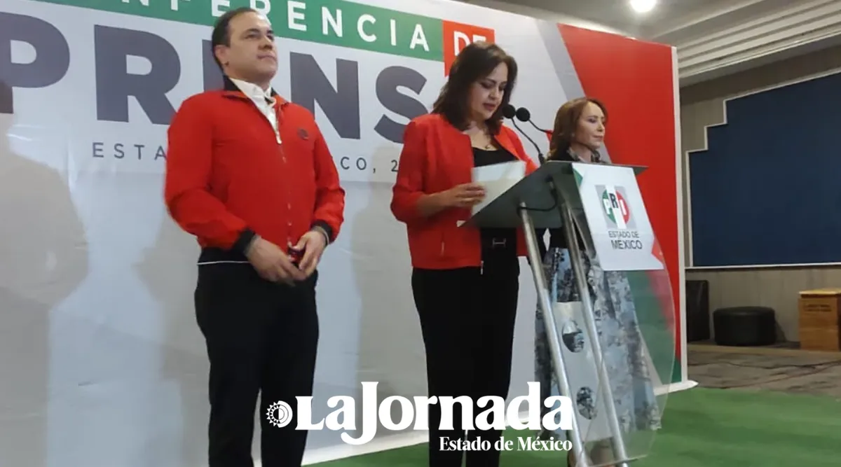 Ana Lilia Herrera pide mayor seguridad para candidatos en campañas