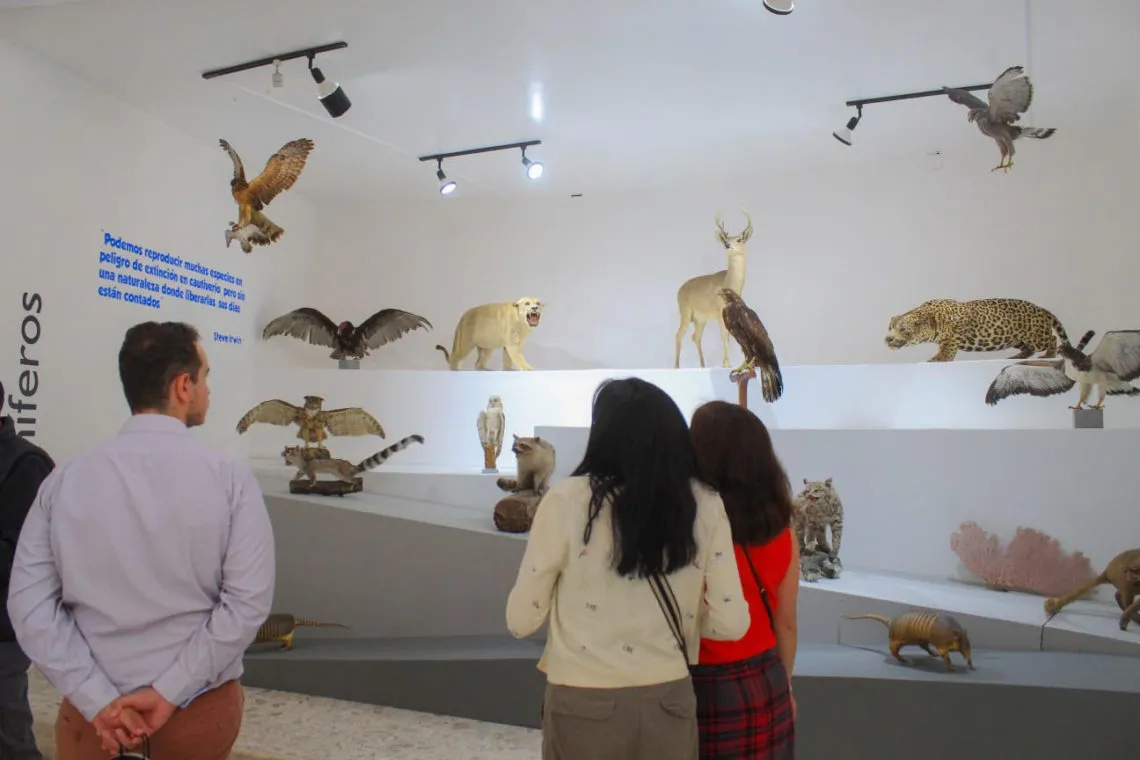 Museo de las Ciencias Naturales de Toluca reabre sus puertas