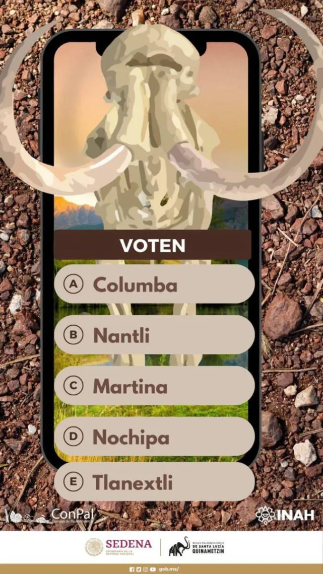 Nombres finalistas para el mamut de Santa Lucía