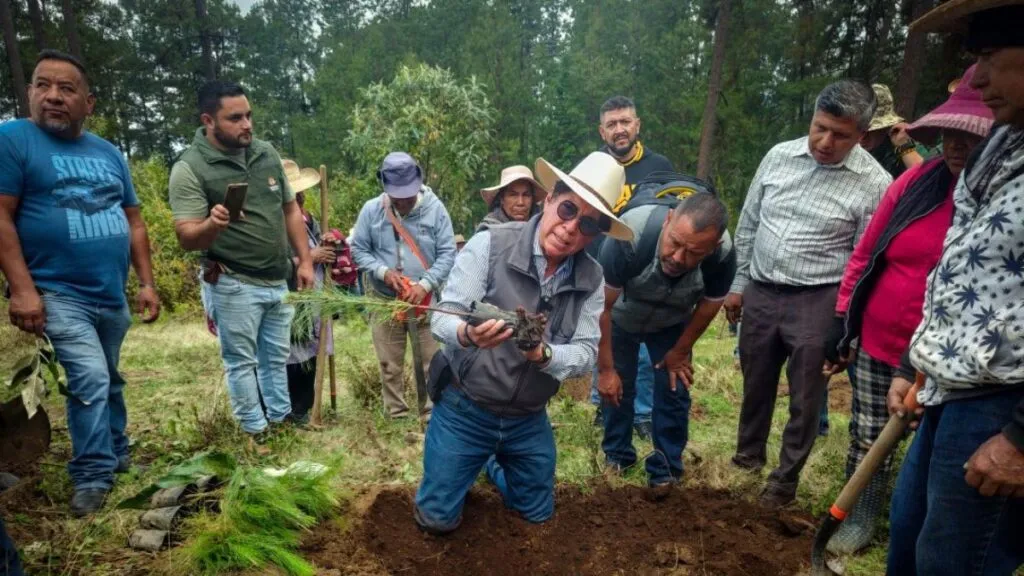 Edomex aperturó más de 500 km de brechas cortafuego