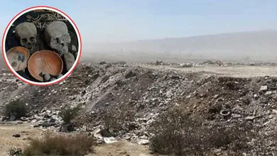 Lotificación y saqueo amenazan sitio arqueológico en Chalco