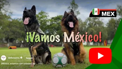 Perros rescatistas del Ejército, Fuerza Aérea y Guardia Nacional respaldan a la Selección Mexicana en un video especial.
