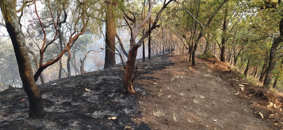 Incendio forestal en Temascaltepec, se reporta bajo control