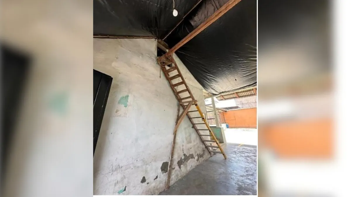 Tapancos: el Refugio, la Memoria y el Corazón de San Felipe