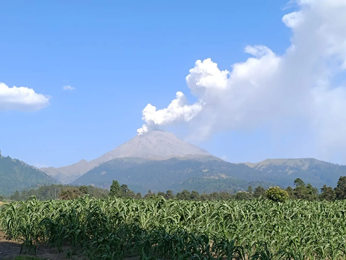 Ozumba y Amecameca refuerzan protocolos por actividad del volcán Popocatépetl