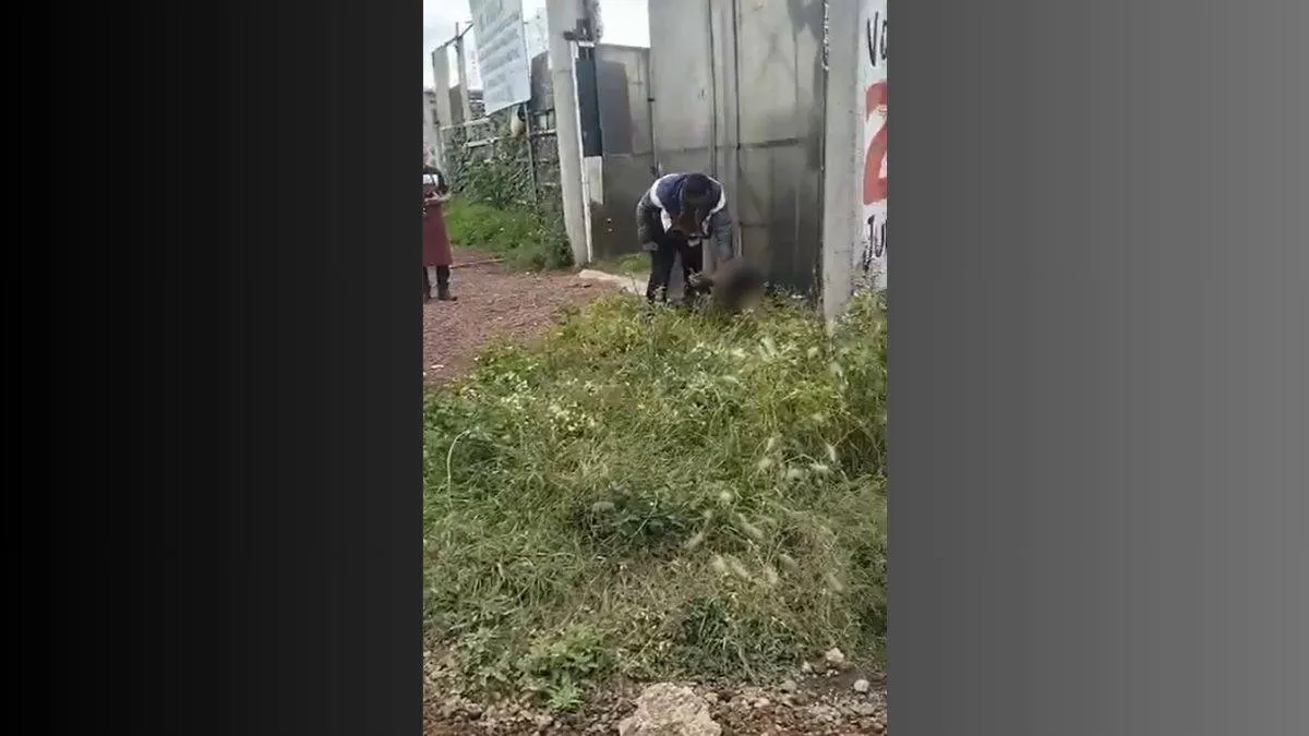 Tecámac: Pasajeros dan golpiza y detienen a presunto asaltante