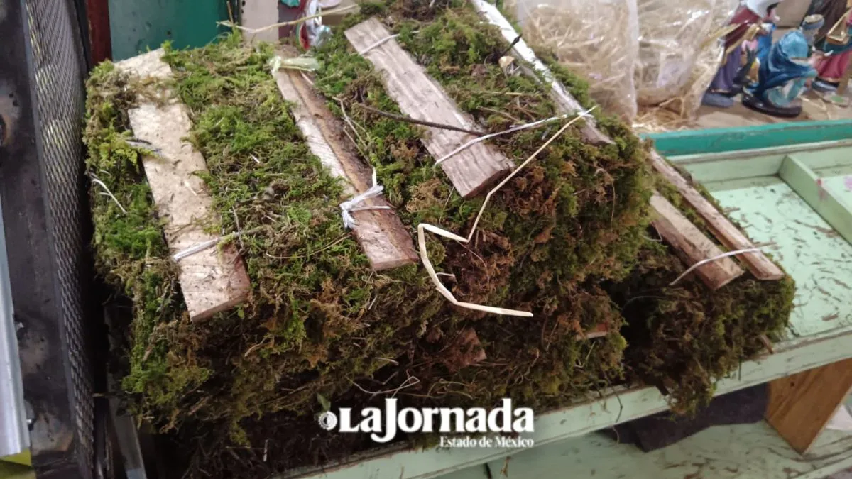 Venta de musgo y heno prevalece en mercado y tianguis del Edomex