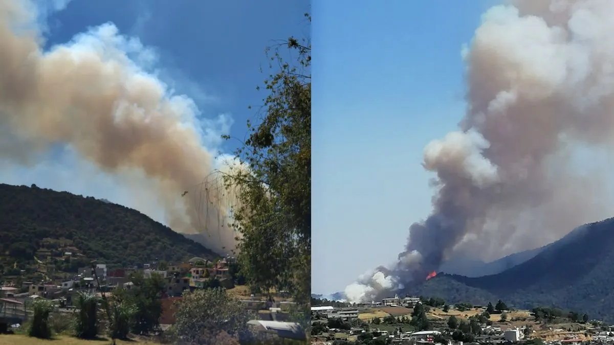 Cerro de la Verónica se incendia