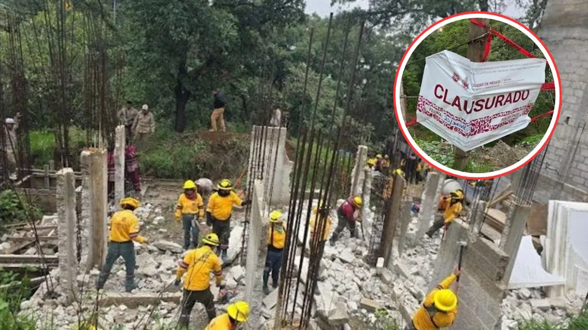 CDMX: Demuelen viviendas en zona protegida