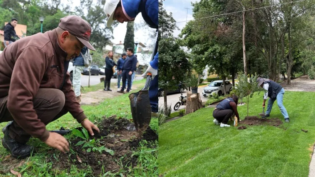 Huixquilucan mantendrá el 65% de su territorio con vocación forestal: Romina Contreras