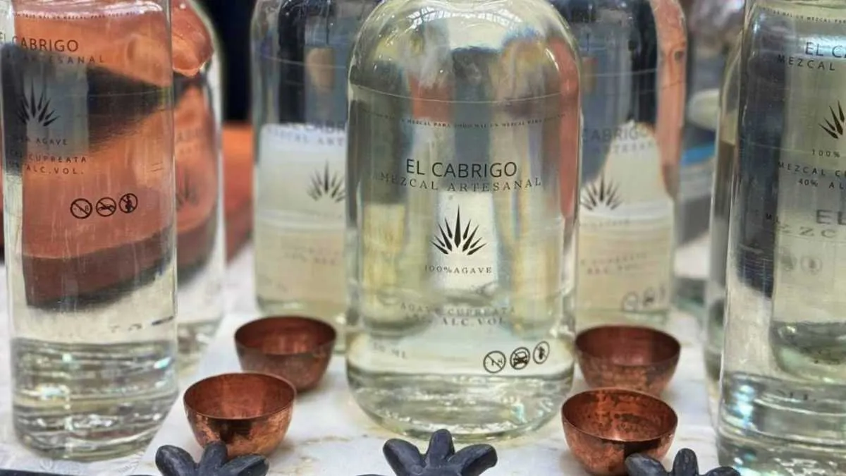Impulsan acciones para mezcal mexiquense