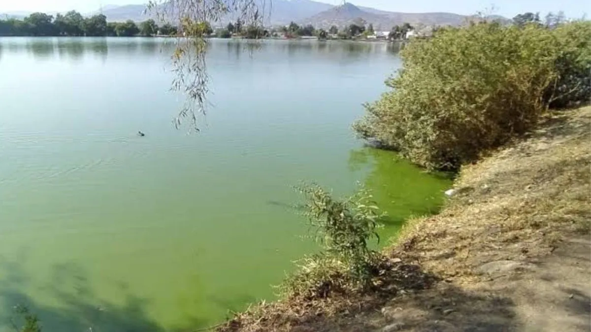 Cuautitlán Izcalli: Buscan limpiar los sus cuerpos de agua