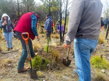 Edomex: Por sequía, incendios y tala atenderán casi 10 mil hectáreas afectadas
