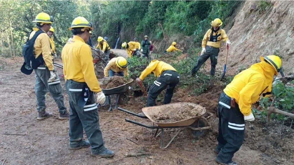 GEM envía más de 216 toneladas de ayuda a Hidalgo