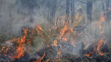 Edomex dará hasta 10 años de prisión para quienes provoquen incendios forestales