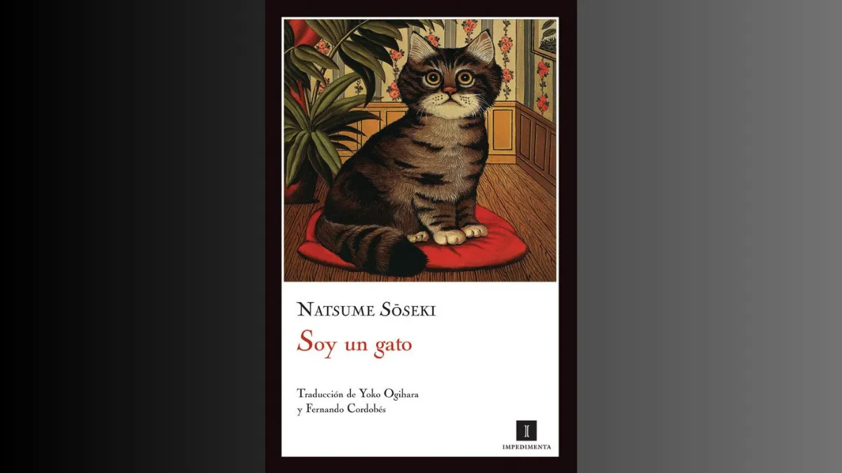 Recomendaciones literarias sobre gatos