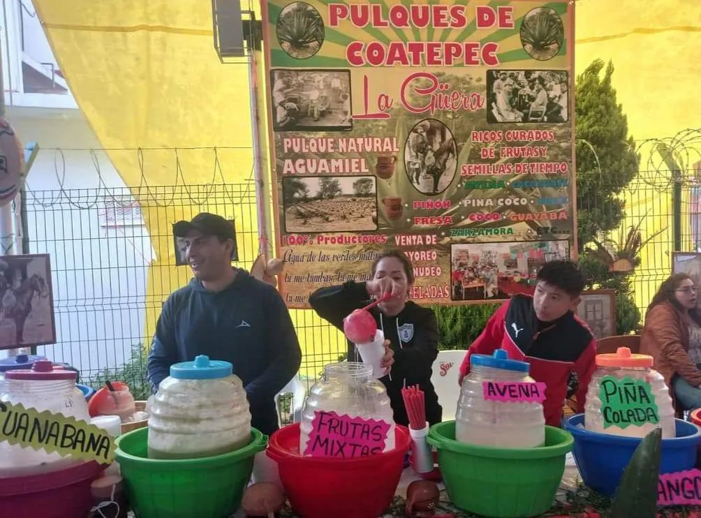 Coatepec: cayeron ventas en la feria del maguey por lluvias