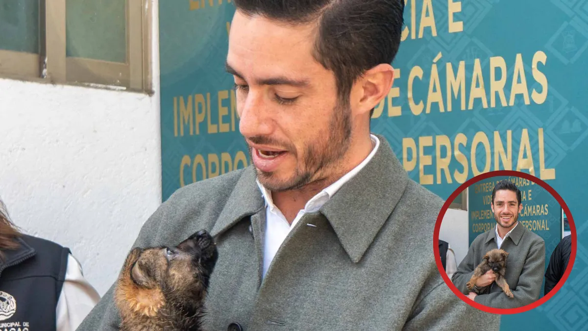 Hasta 15 años de prisión por maltrato animal en Edomex; PVEM impulsó este avance