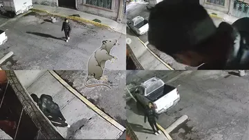 Roban casa en Los Reyes La Paz; vecinos señalan inseguridad