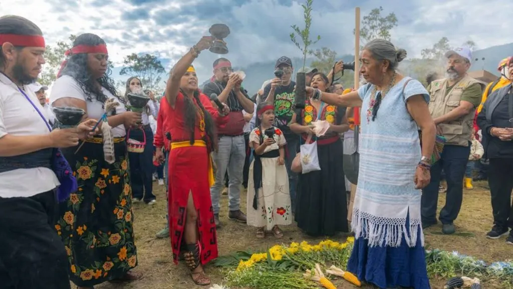 Plantan más de 2 mil árboles para restaurar la Sierra de Guadalupe