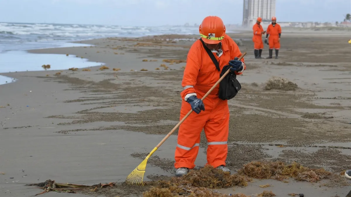 Crisis por derrame en el Golfo impacta logística portuaria y agrava panorama económico en Veracruz