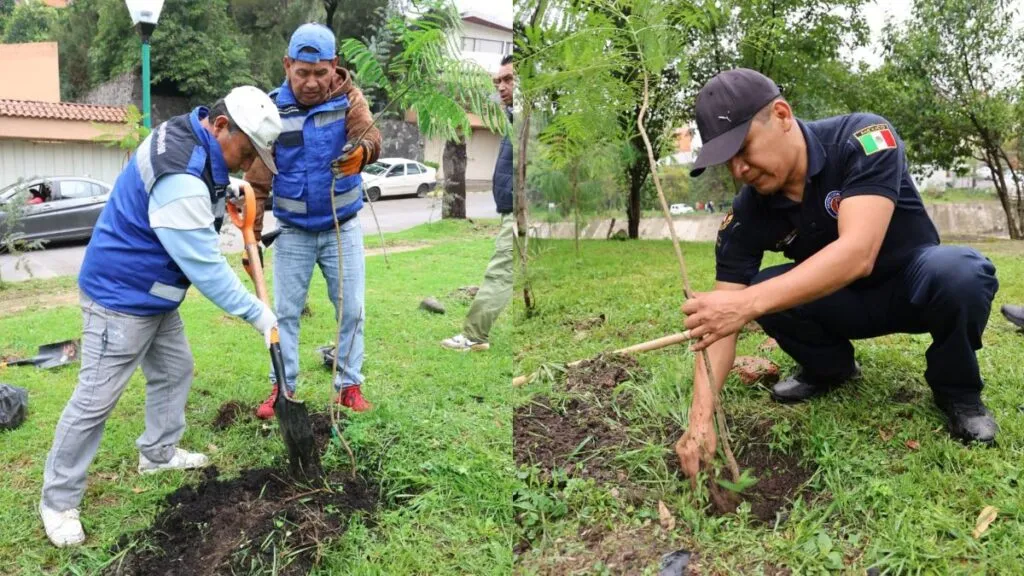 Huixquilucan mantendrá el 65% de su territorio con vocación forestal: Romina Contreras