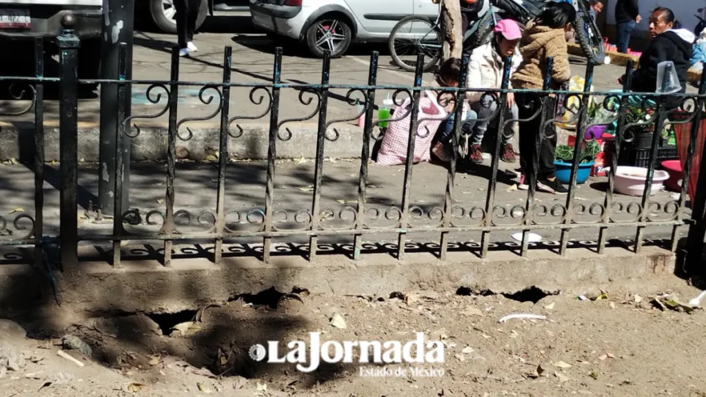 Basura inunda Mercado Juárez en Toluca