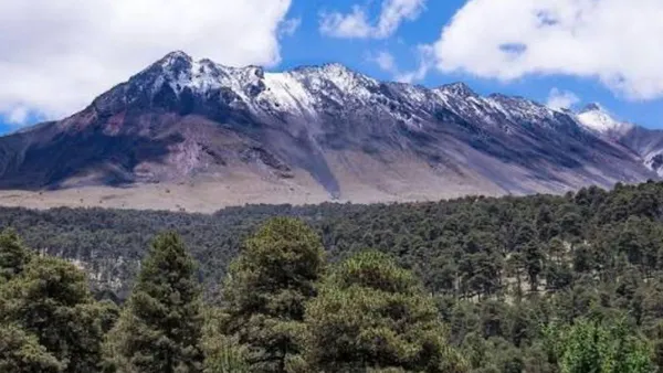 Bosques del Edomex se pierden por cambio de uso de suelo: SNMF